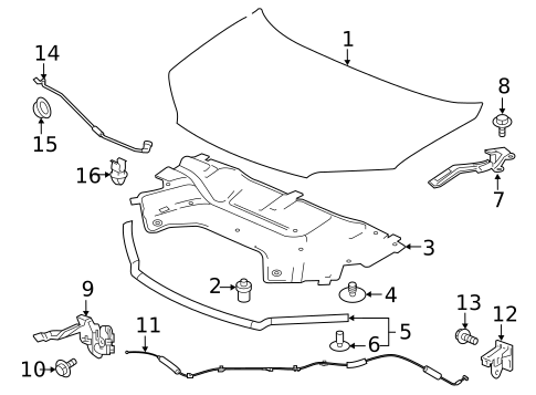 Hood & Components for 2022 Honda Pilot #0