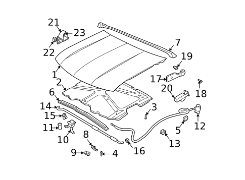 Hood & Components for 2000 Chevrolet S10 #0