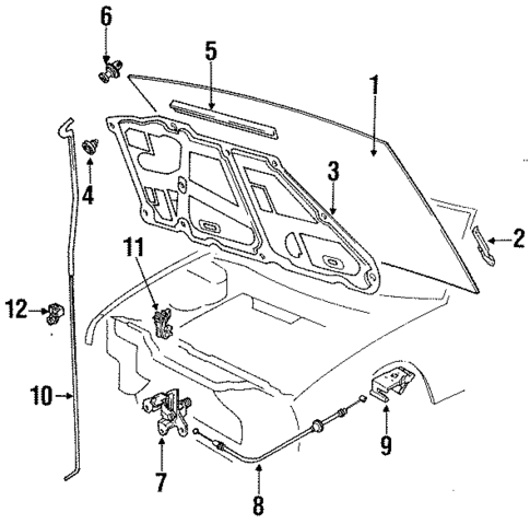 Hood & Components for 1991 Isuzu Impulse #0