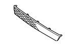 Bumper Grille