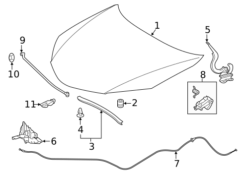 Hood & Components for 2018 Toyota Corolla #0