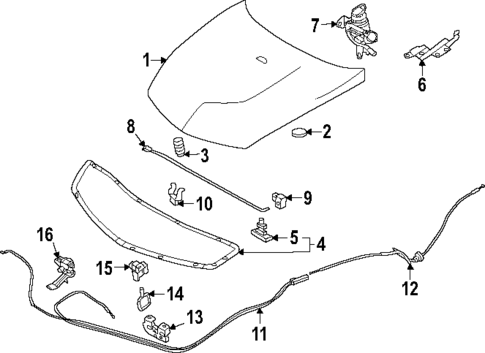 Hood & Components for 2023 Nissan Z #0