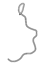 11657796857 - Emission System: Vacuum Hose for BMW: 328d, 328d xDrive, 535d, 535d xDrive, 540d xDrive, 740Ld xDrive, X3, X5 Image