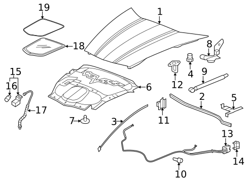 Hood & Components for 2013 Chevrolet Corvette #0