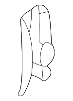 4B9807986A - Body: Outer Support for Audi Image