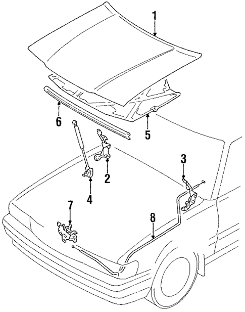 Hood & Components for 1991 Toyota Cressida #0