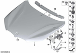 41007463772 - : Hood for BMW Image