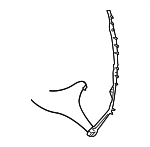 4894033AE - Body: Pinch Sensor for Chrysler: Town &amp; Country, Voyager | Dodge: Caravan, Grand Caravan Image