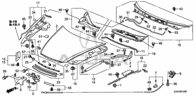 Engine Hood (1) for 2006 Acura RL #0