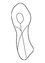 ZZM032657 - Steering: Spring for Mazda: B2300, B2500, B3000, B4000 Image