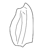 5C6881775BD - Body: Seat Back Pad for Volkswagen: Jetta Image