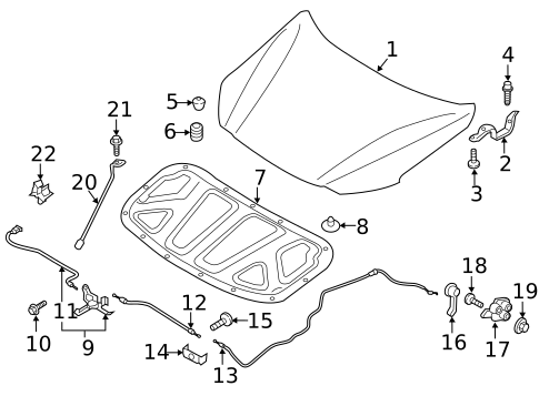 Hood & Components for 2020 Hyundai Elantra #0