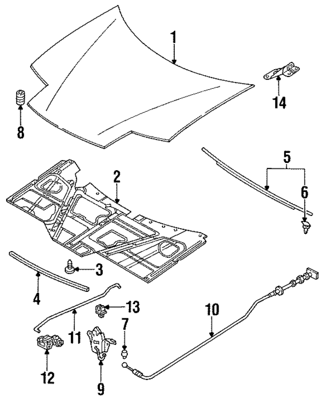 F42Z16612B - Body: Hood for Ford: Probe Image