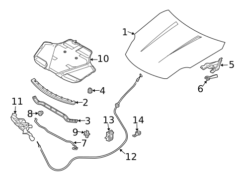 Hood & Components for 2007 INFINITI G35 #1