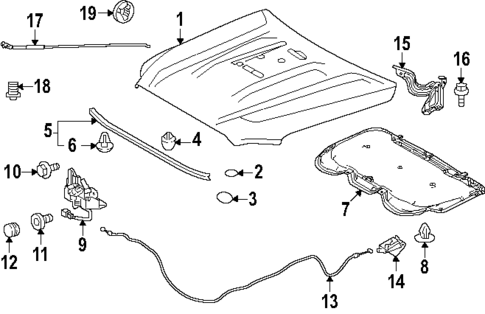 Hood & Components for 2024 Toyota Tacoma #1