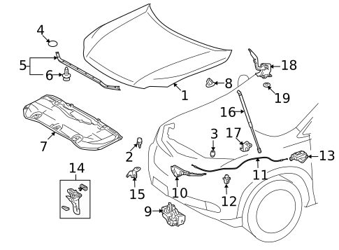 Hood & Components for 2012 Lexus RX350 #0