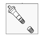 PCPZ1700A - Electrical: Valve Stem for Ford Image