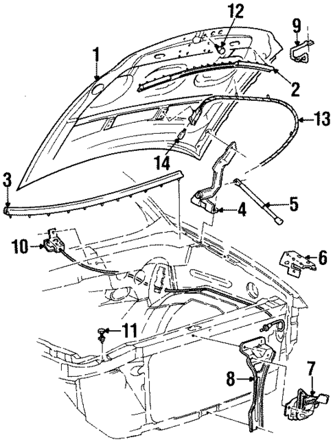 Hood & Components for 1999 Lincoln Navigator #0