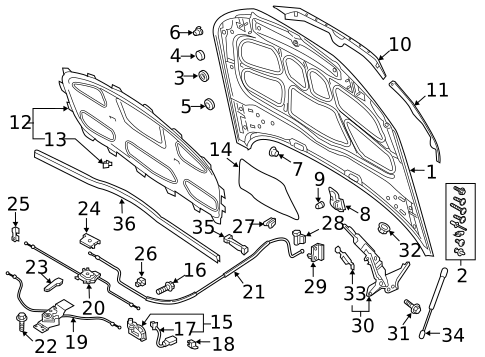 Hood & Components for 2018 Audi RS5 #0