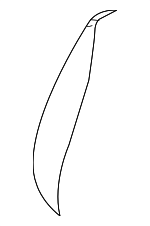 3C0881805NHTWU - : Seat Back Cover for Volkswagen: Passat Image