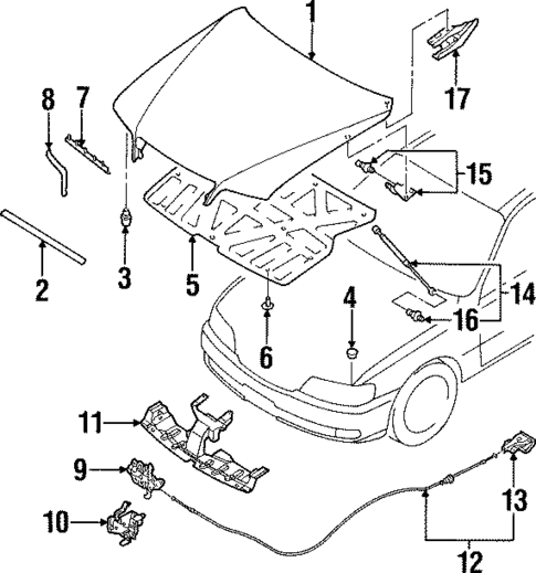 HOOD & COMPONENTS for 2001 INFINITI Q45 #0