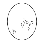 78501S87A71ZC - Steering: Steering Wheel for Honda: Accord Image