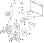 1950268AA00 - : 2023-2025 Honda CR-V - Lower Hose for Honda: CR-V Image