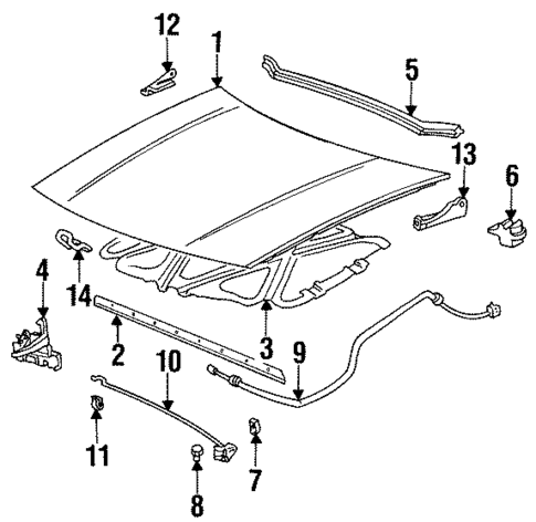 Hood & Components for 1995 Pontiac Grand Am #0