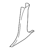 94042FE020NV - Body: Center Pillar Trim for Subaru: Impreza Image