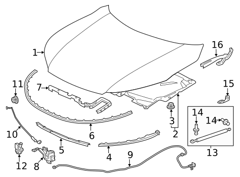 Hood & Components for 2014 Honda Accord #0