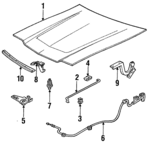 E6FZ16612A - Body: Hood for Ford: Escort, EXP | Mercury: Lynx Image