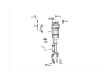 1663207113 - Springs, Suspension and Hydraulic Components: Air Spring Strut for Mercedes-Benz Image