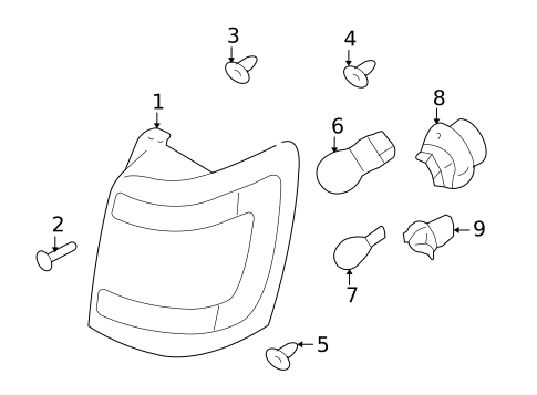Bulbs - Chassis for 2010 Ford Escape #1