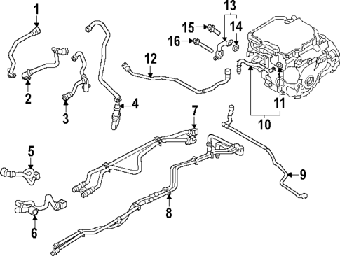 Hoses & Lines for 2024 BMW i7 #0