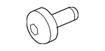 WHT001702 - Cooling System: Pump Pulley Bolt for Porsche: 718 Cayman, 718 Spyder, 911, Boxster, Cayenne, Cayman, Macan, Panamera Image