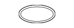 259971845 - Fuel System: Fuel Pump Assembly O-Ring for MB Vans Image