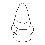 155305933 - Body: Lower Cover Clip for Nissan: 370Z, Altima, ARIYA, Armada, Cube, Frontier, GT-R, Juke, Kicks, Kicks Play, LEAF, Maxima, Micra, Murano, NV1500, NV200, NV2500, NV3500, Pathfinder, Qashqai, Quest, Rogue, Rogue Select, Rogue Sport, Sentra, Versa, Versa Note, Z Image image