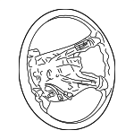 UF64WL8AA - : Steering Wheel for Dodge: Neon Image