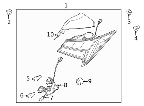 Bulbs - Chassis for 2021 Hyundai Elantra #1