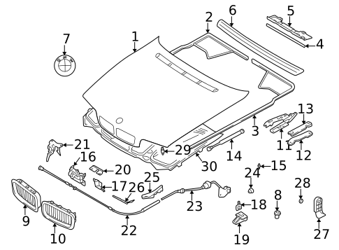 Hood & Components for 1999 BMW 740iL #0