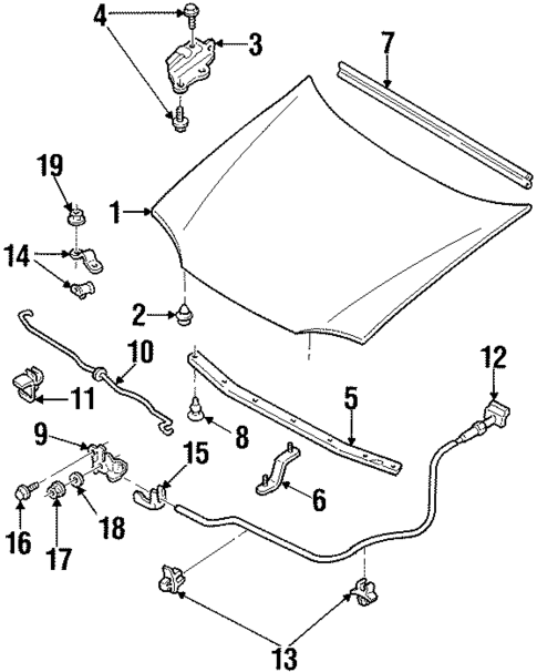 Hood & Components for 1998 Ford Escort #0