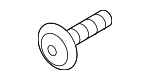 N91176801 - Body: Hinge Screw for Porsche: 718 Cayman, Cayenne, Macan, Panamera Image