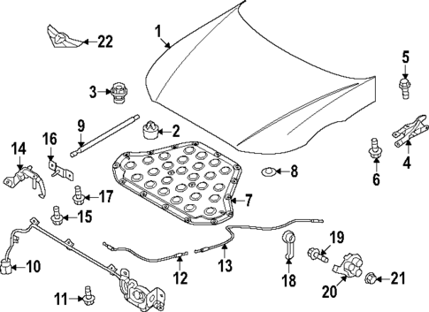 Hood & Components for 2025 Genesis G90 #0