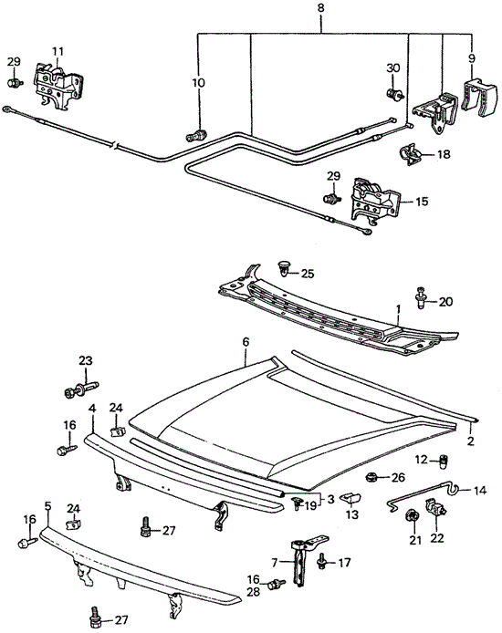 Hood for 1984 Honda Accord #0