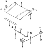8971252542 - Body: Hood for Isuzu Image