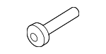 2009-2025 Audi - Protector Screw