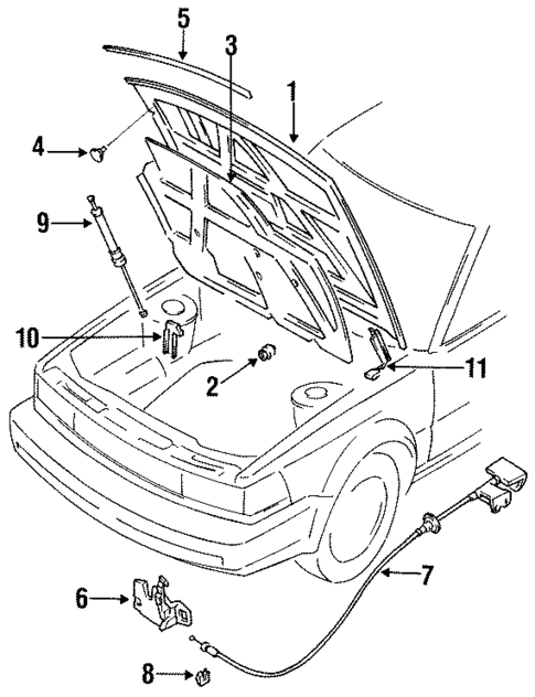 Hood & Components for 1985 Nissan Maxima #0