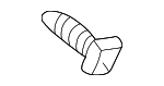 9010905043 - Body: Molding Bolt for Scion: xA | Toyota: Echo, Prius Image