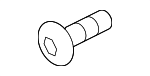 License Bracket Screw