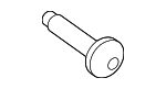 UYP500030 - Body: Upper Trim Screw for Land-Rover Image
